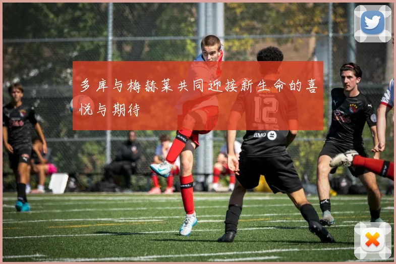 多库与梅赫莱共同迎接新生命的喜悦与期待
