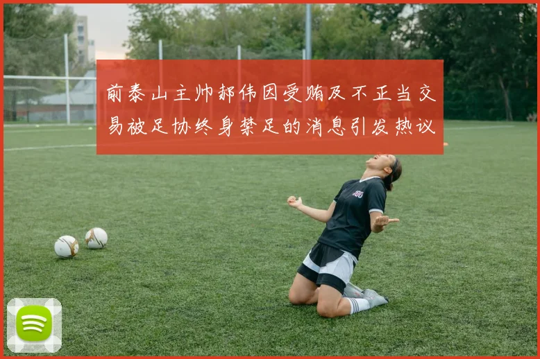 前泰山主帅郝伟因受贿及不正当交易被足协终身禁足的消息引发热议