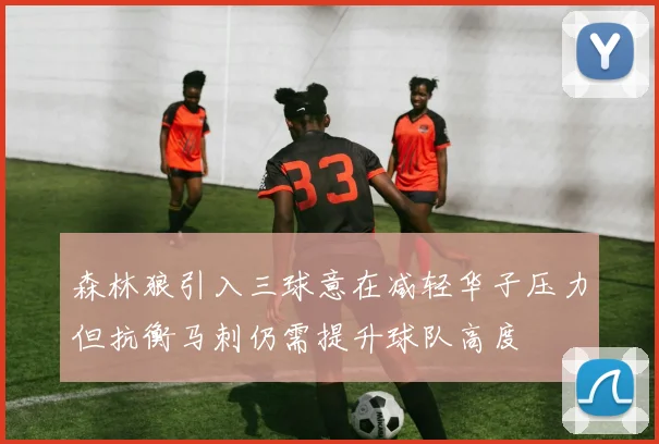 森林狼引入三球意在减轻华子压力但抗衡马刺仍需提升球队高度
