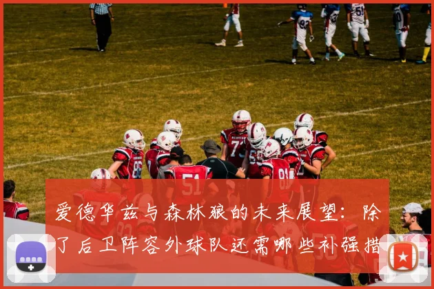 爱德华兹与森林狼的未来展望：除了后卫阵容外球队还需哪些补强措施